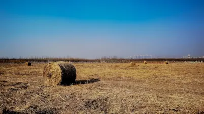 КакАду Казино Мобилно приложение